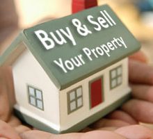 Property Dealer in Bathinda